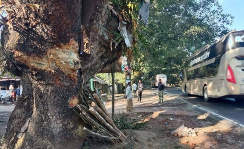 লোহাগাড়ায় গাছের সঙ্গে বাসের ধাক্কায় ২জন নিহত