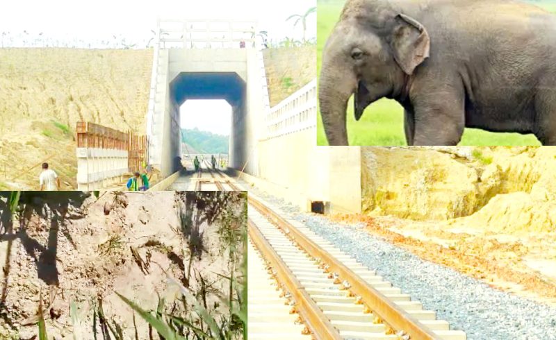 চুনতিতে এশিয়ার প্রথম এলিফ্যান্ট ওভারপাস দিয়ে হাতি চলাচল!