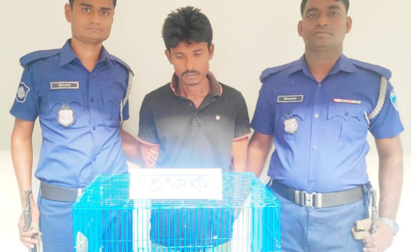 লোহাগাড়ায় ১১টা তক্ষক (টুটঠেং) উদ্ধার, পাচারকারী আটক
