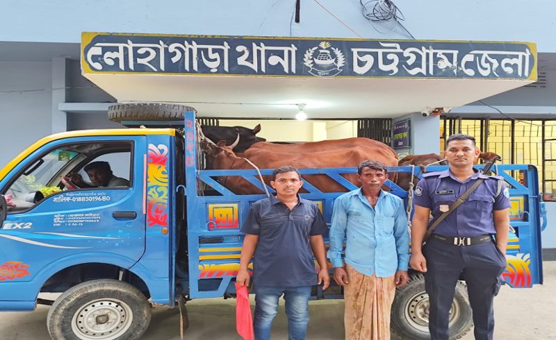 চোরাই, গরু, মালিক, পুলিশ