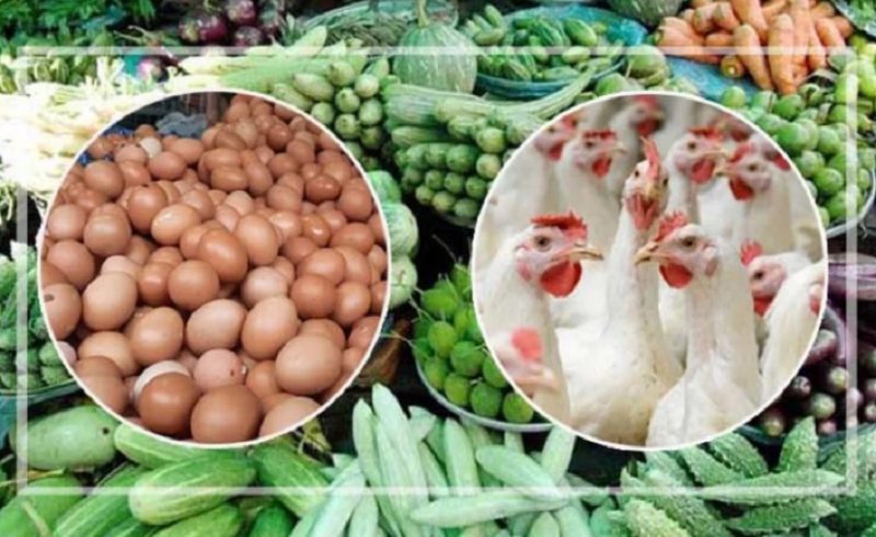 ডিম, সবজি, স্বস্তি, স্থিতিশীল, ব্রয়লার মুরগি