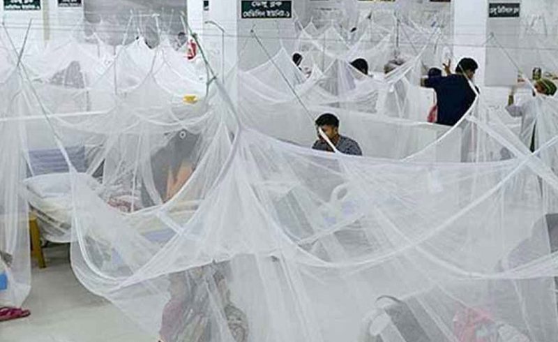 ডেঙ্গুতে গেল আরো ৩ প্রাণ, হাসপাতালে ৪১১