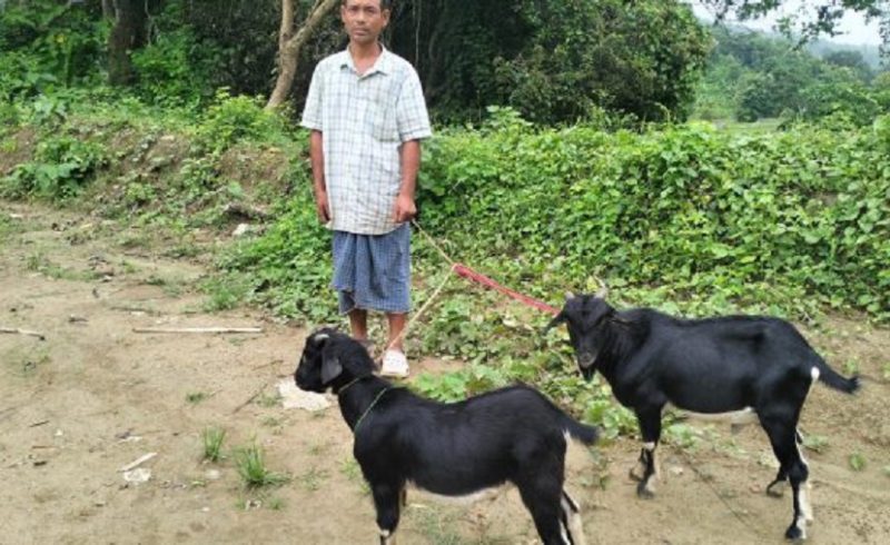 খাগড়াছড়িতে দুটি পাঠা ছাগলসহ ভারতীয় নাগরিক আটক