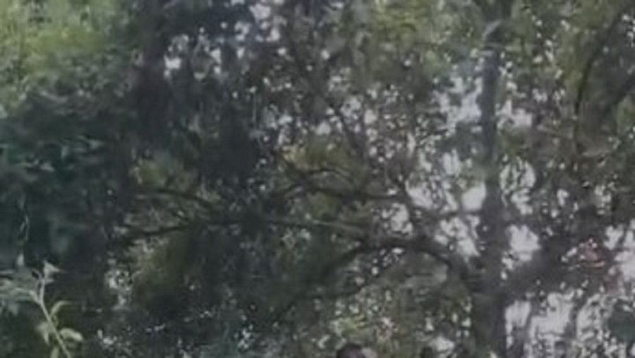উখিয়ার কুতুপালং পাহাড়ে যুবকের ঝুলন্ত মরদেহ উদ্ধার
