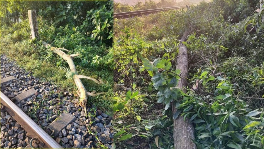সাতকানিয়ায় রেললাইনে নাশকতার চেষ্টা
