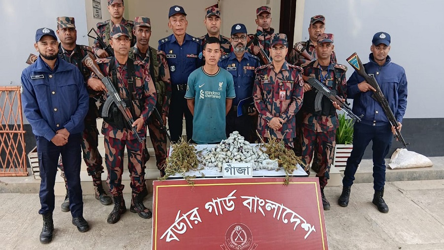 বান্দরবানে গাঁজা চাষের জমিতে অভিযান, আটক এক