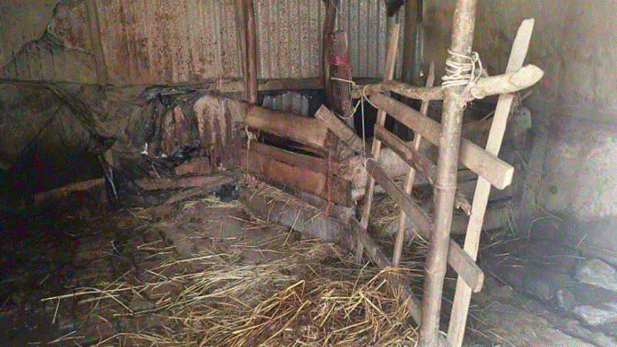 চন্দনাইশে গরু চুরিতে বাধা দেয়ায় ডাকাতদের গুলিতে নিহত ১