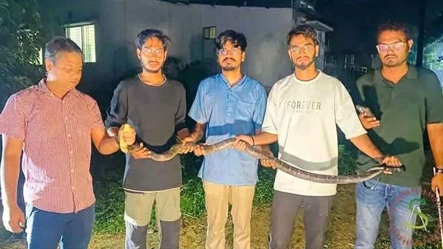 চট্টগ্রাম বিশ্ববিদ্যালয়ে উদ্ধার ৮ ফুট লম্বা কিং কোবরা