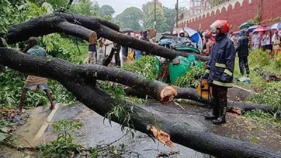 রাঙ্গুনিয়ায় গাছ চাপায় প্রাণ হারালেন সিএনজি চালক