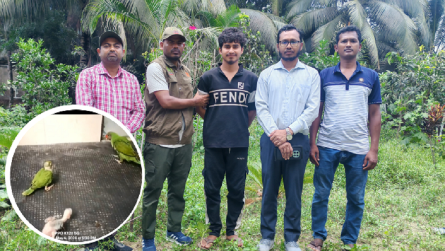 বাঁশখালীতে বন্য টিয়াপাখি বিক্রির চেষ্টা, যুবক আটক